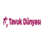 Tavuk Dünyası